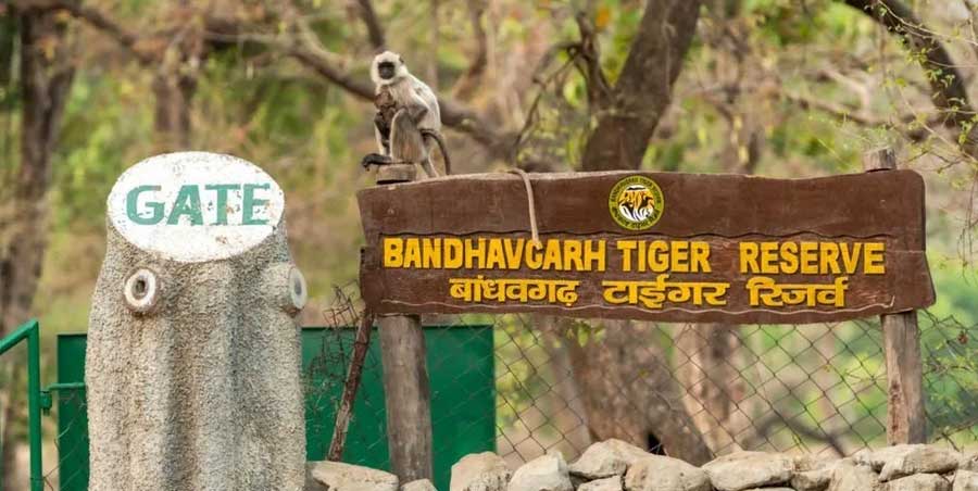 Bandhavgarh National Park