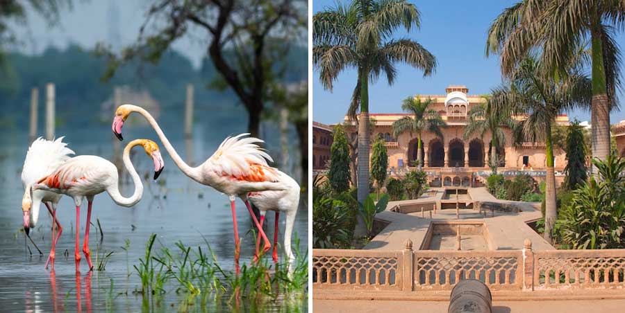 Bharatpur Tourism