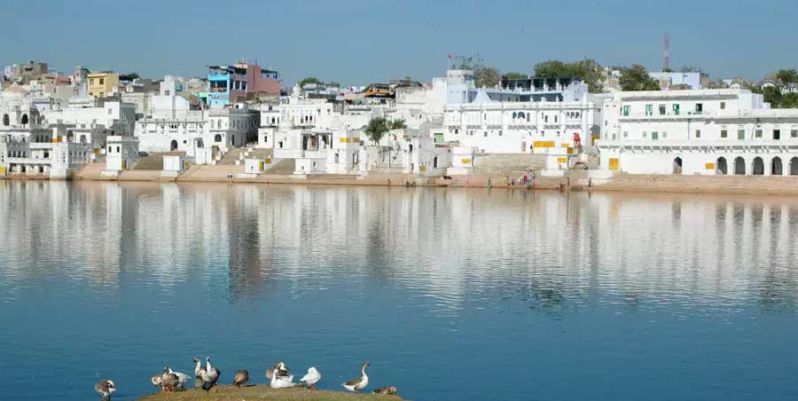 pushkar day trip from jaipur