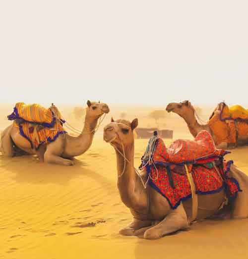 Rajasthan Desert Triangle Tour 