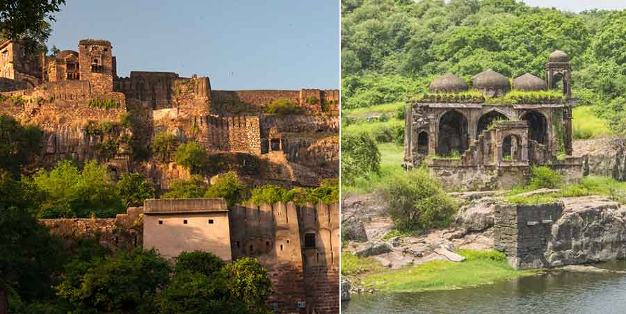 Ranthambore Safari Booking